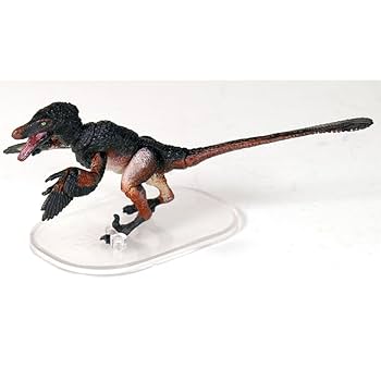 ヴェロキラプトル　限定版　BEASTS OF THE MESOZOIC Amazon.co.jp: Everything Dinosaur Beasts of the Mesozoic 1